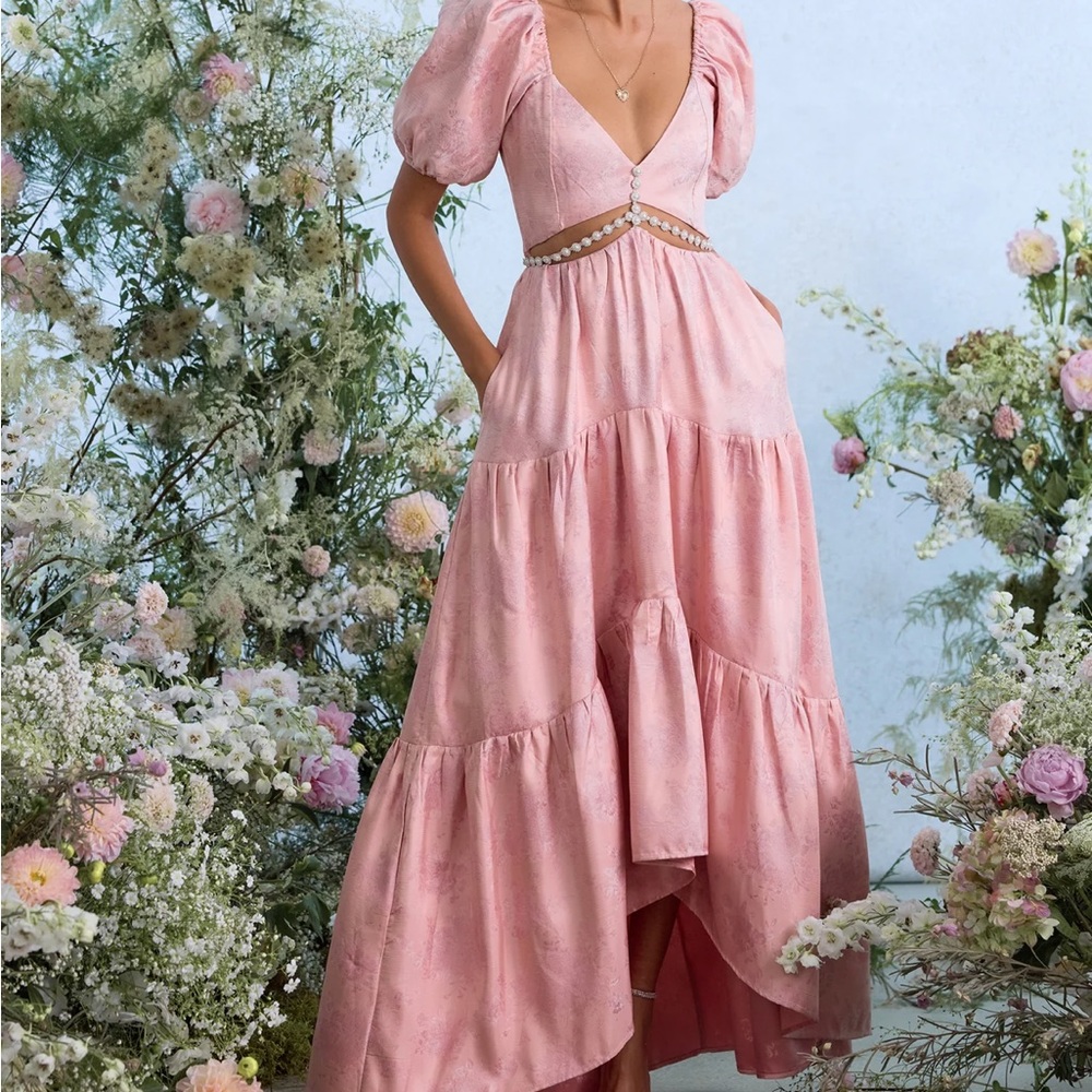 NWT V Chapman Dress in Light Pink Windsor Brocade